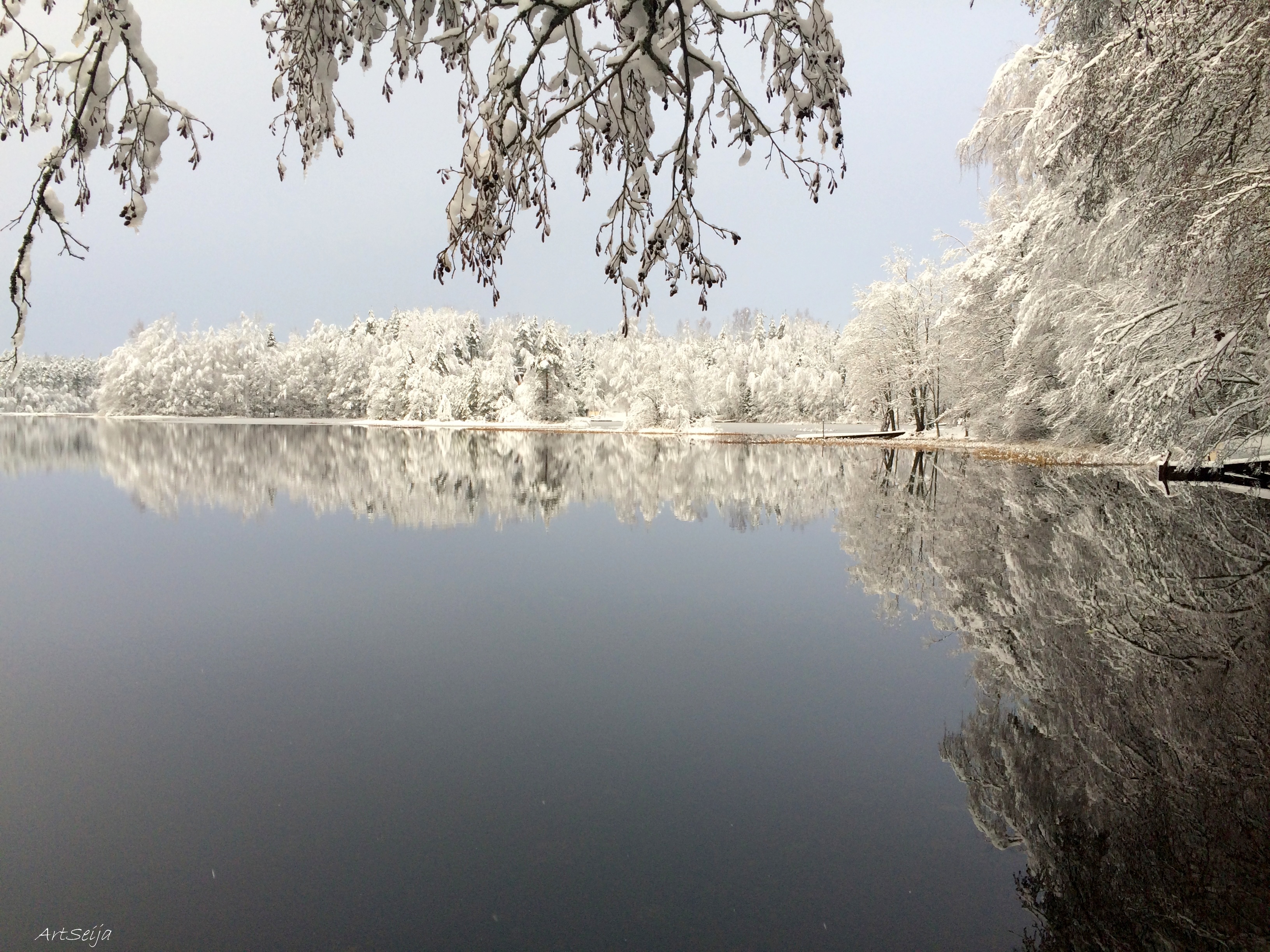 Lautaporras: Pitkäjärvi, Tammela